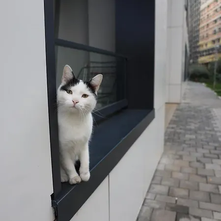 Διαμέρισμα Luxe Living