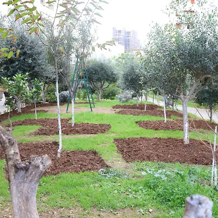 Luxe Living דירה