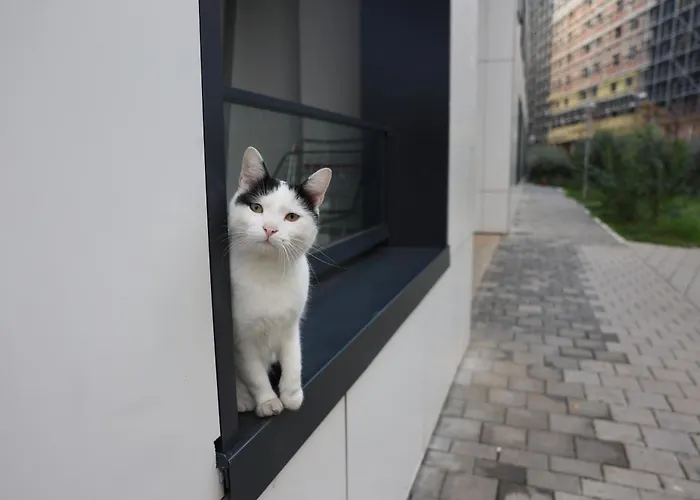 아파트 Luxe Living